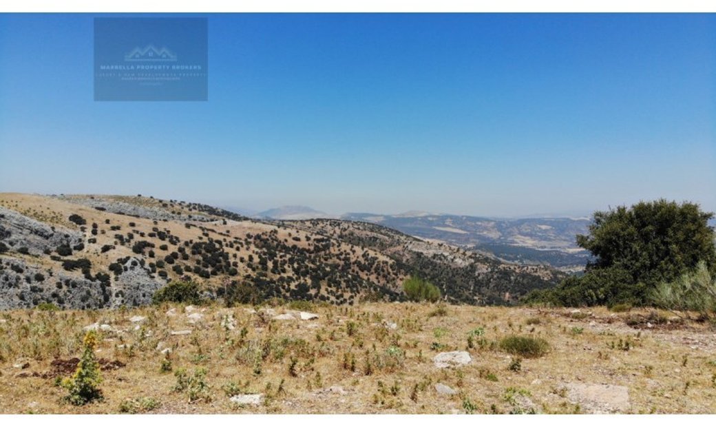 Rural Land Sale Ronda In Ronda, Andalusia, Spain For Sale (14732544)