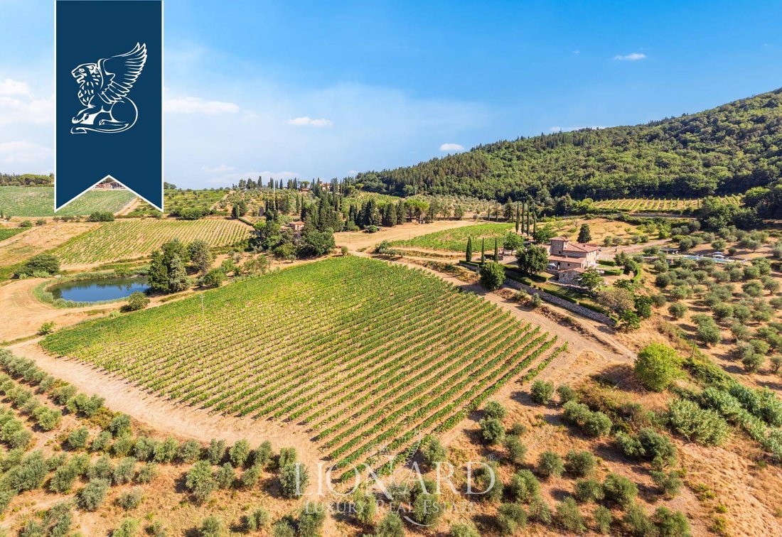 Villa in Sambuca - San Donato in Poggio, Tavarnelle Val di Pesa, Tuscany 5 - 14736650