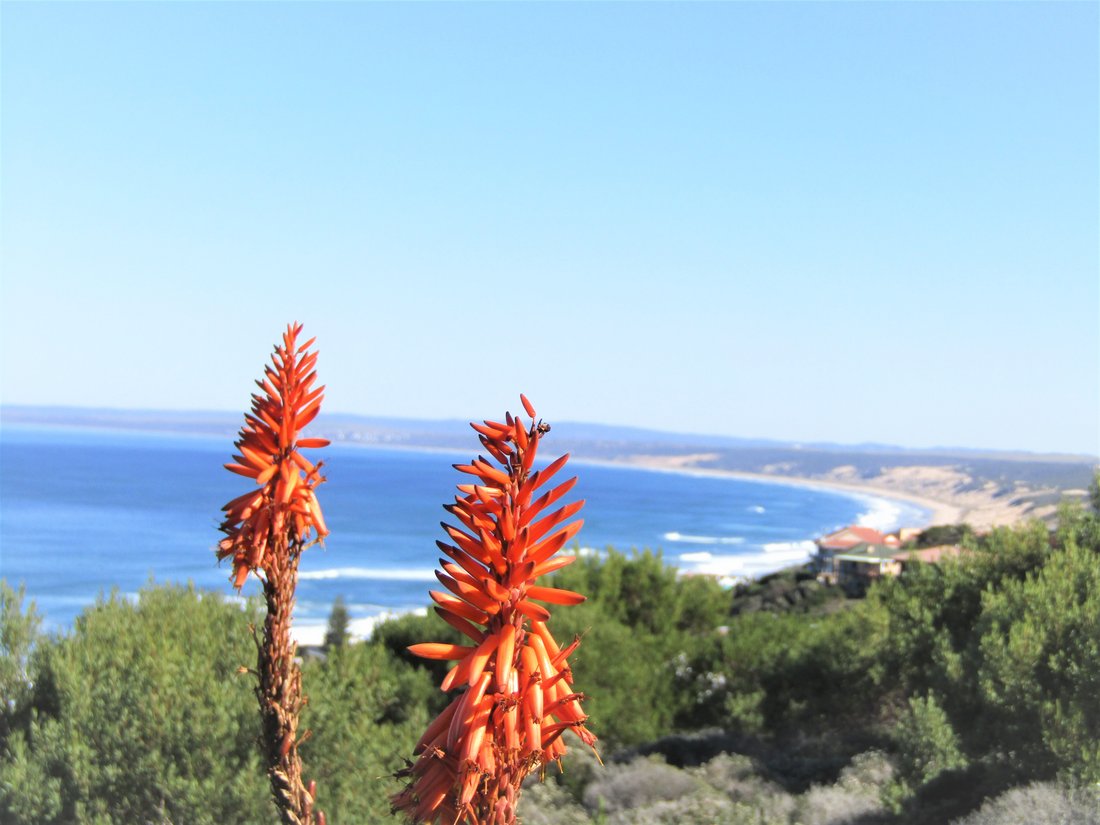 House in Dana Bay, Western Cape, South Africa 1 - 14735573