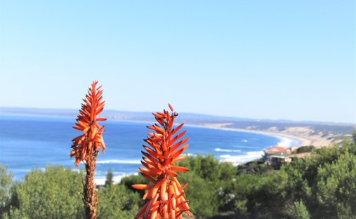 House in Mossel Bay, Western Cape, South Africa 1