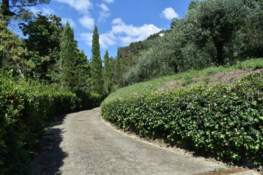 Country House in Camaiore, Tuscany, Italy 4 - 14735826