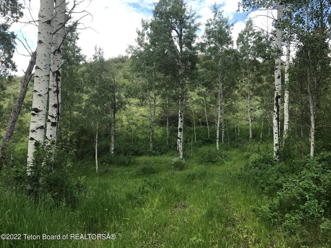 Lots And Land Thayne In Thayne, Wyoming, United States For Sale (14735638)