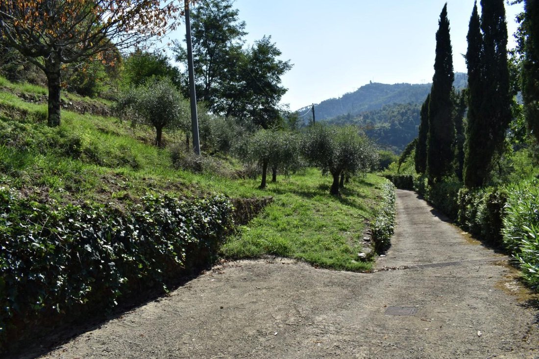 Country House in Camaiore, Tuscany, Italy 3 - 14735826