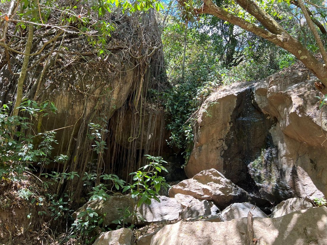 Land in Atenas, Alajuela Province, Costa Rica 4 - 14734854