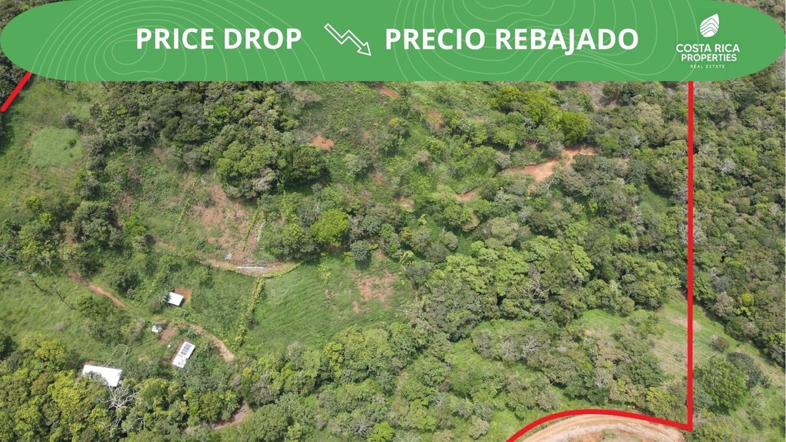 Land in San Ramon, Guanacaste Province, Costa Rica 1 - 14733872