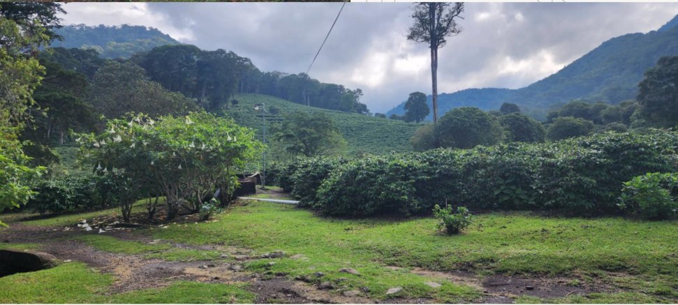 Los Naranjos, Chiriquí Province, Panama 2 - 14743424