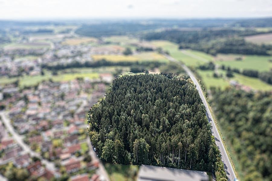Large Forest Plot In Sought After Location In Ascha, Bavaria, Germany