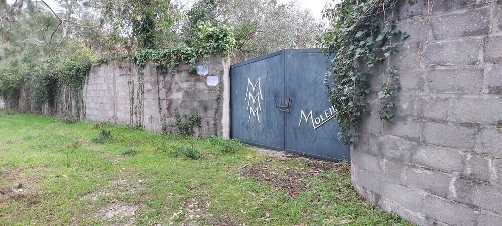 Land in Carvide, Leiria District, Portugal 1 - 14743521