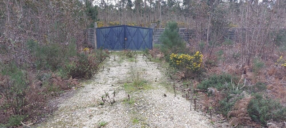 Land in Carvide, Leiria District, Portugal 3 - 14743521
