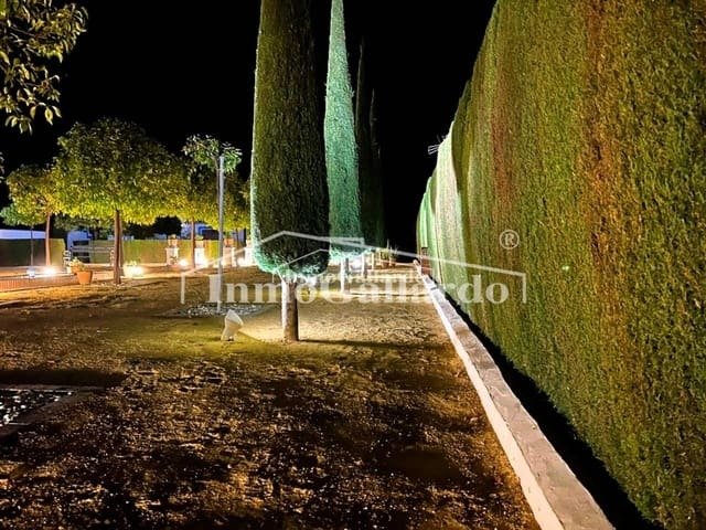 Villa in Lucena, Andalusia, Spain 3 - 14745784