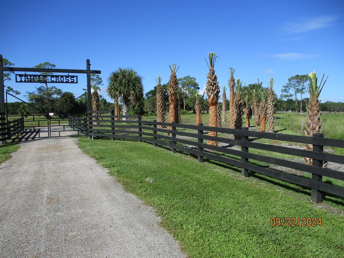 Land in Buckhead Ridge, Florida, United States 4 - 14745018