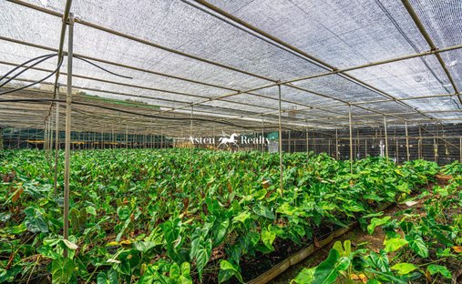 Finca en San Cristóbal de La Laguna, Canarias, España 1