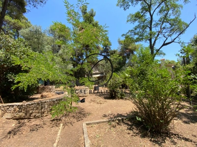 Land in Ekali, Attica, Greece 3 - 14747256