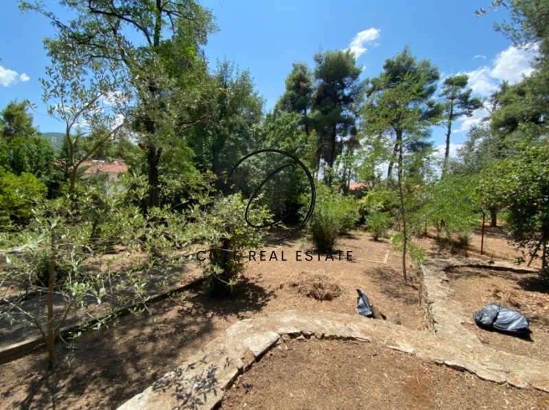 Land in Ekali, Attica, Greece 1 - 14747256