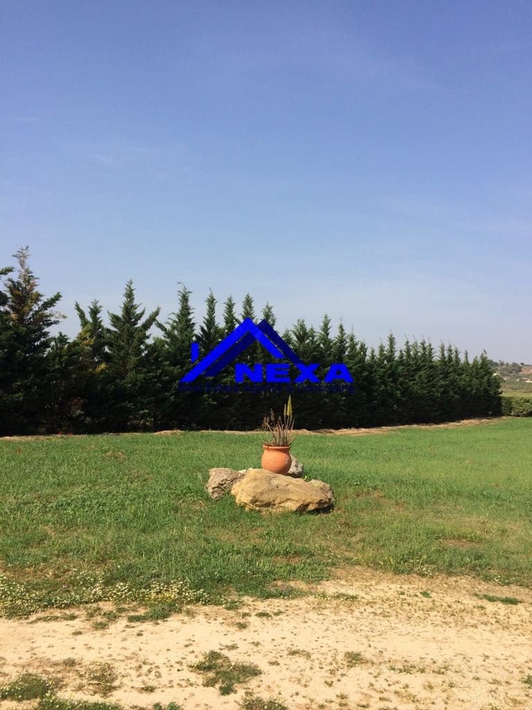 House in Markopoulo Mesogaias, Attica, Greece 5 - 14747261