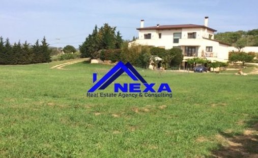 House in Markopoulo Mesogaias, Attica, Greece 1