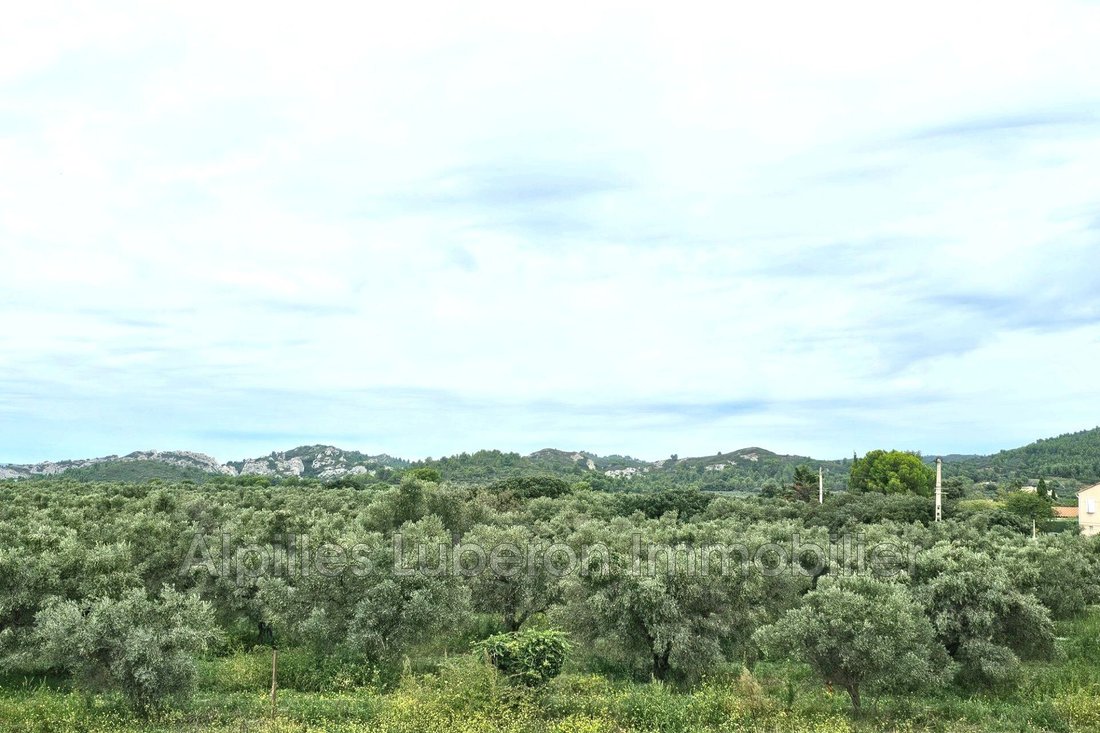 Villa in Aureille, Provence-Alpes-Côte d'Azur, France 4 - 14745370