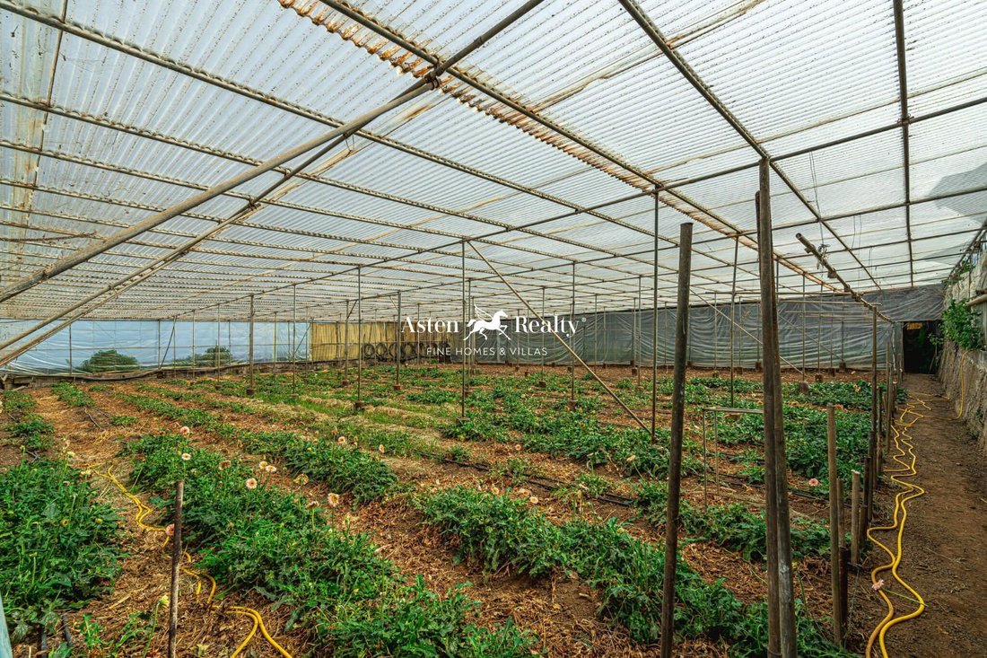 Finca in San Cristobal de La Laguna, Canary Islands, Spain 1 - 14748583