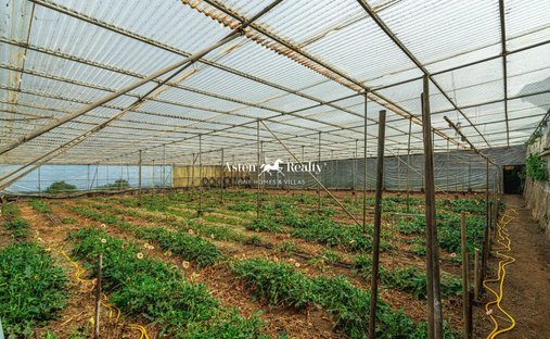 Finca in San Cristobal de La Laguna, Canary Islands, Spain 1