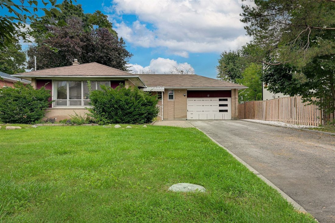 Old Maple In Vaughan, Ontario, Canada For Sale (14745012)