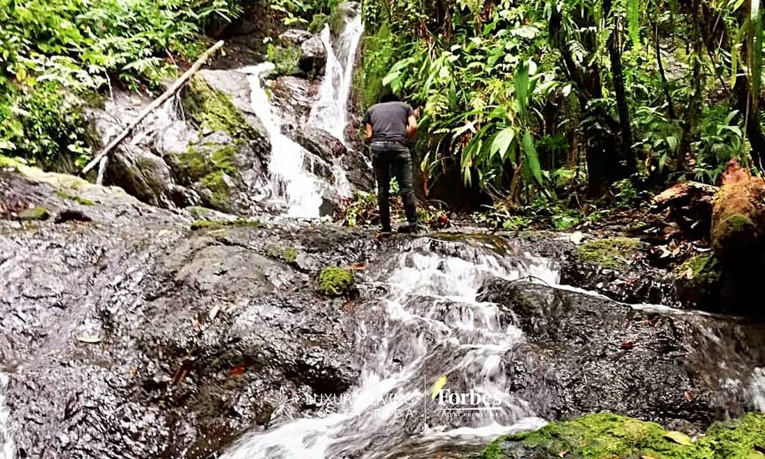 Land in Golfito, Puntarenas Province, Costa Rica 3 - 14746760