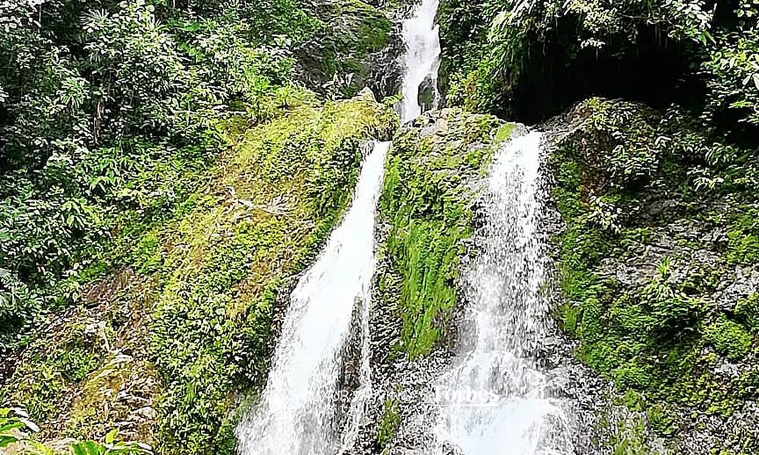 Land in Golfito, Puntarenas Province, Costa Rica 2 - 14746760