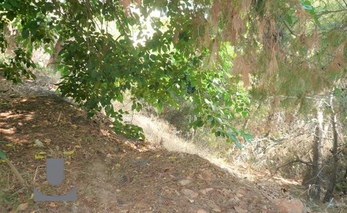 Land in Kifisia, Attica, Greece 1