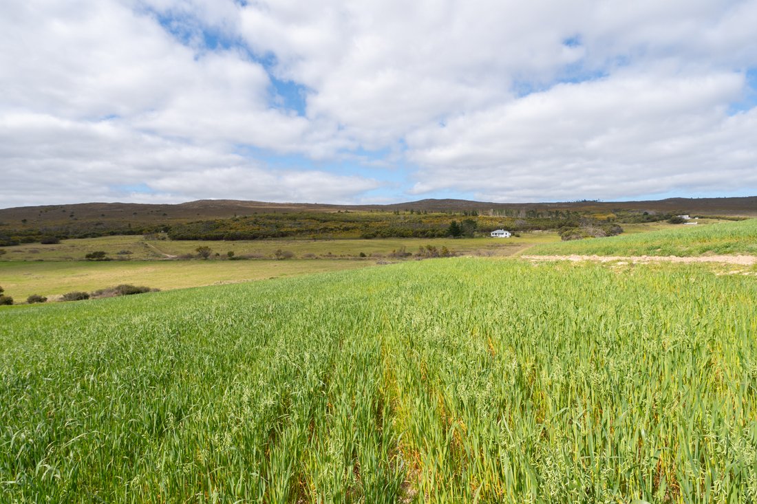 Rondefontein Farm 190 Ha Secluded In Napier, Western Cape, South