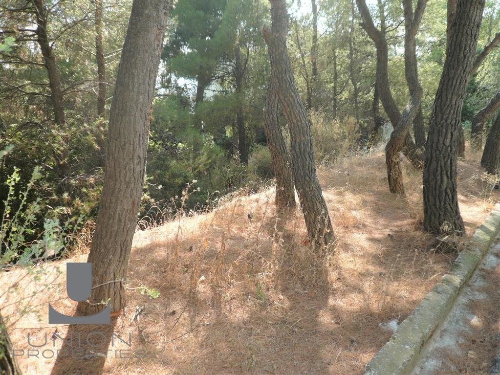 Land in Kifisia, Attica, Greece 5 - 14750243