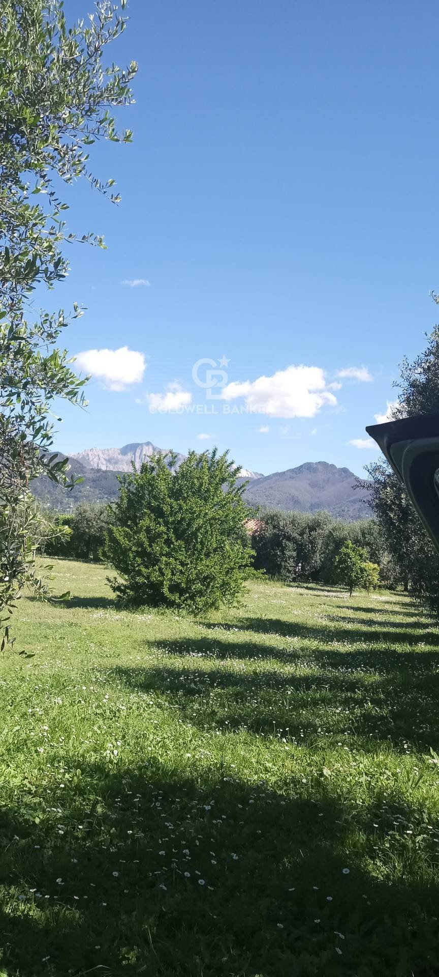 Land in Pietrasanta, Tuscany, Italy 1 - 14751957