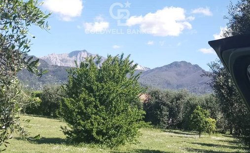 Land in Pietrasanta, Tuscany, Italy 1