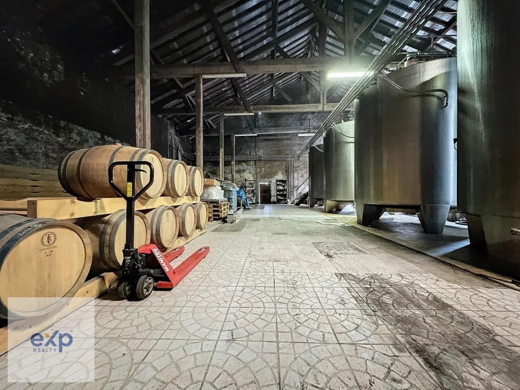 Château Lalene: A Century of Wine, Light & Legacy in Bordeaux’s Golden Hills