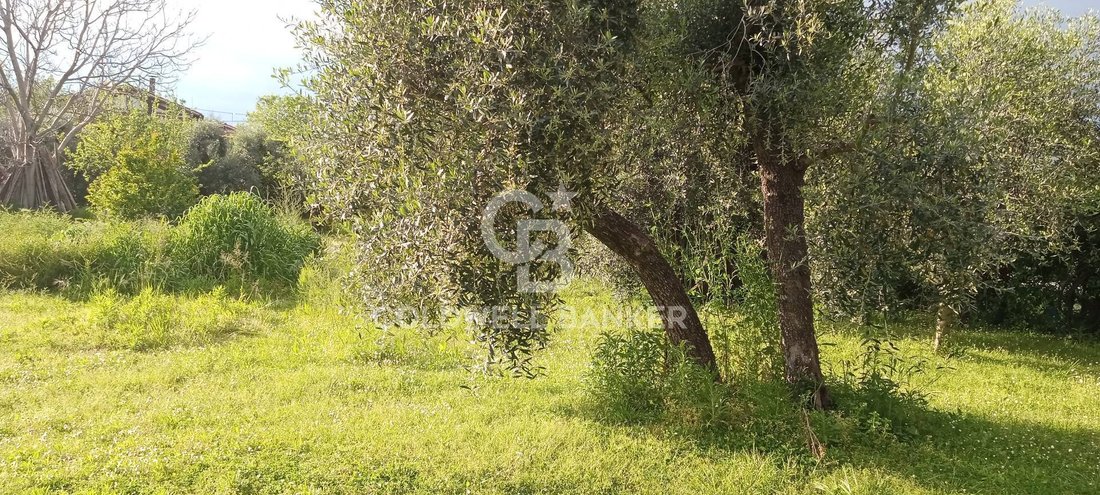 Land in Pietrasanta, Tuscany, Italy 4 - 14751957