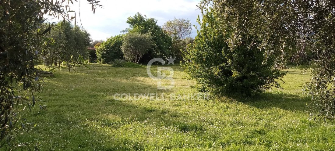 Land in Pietrasanta, Tuscany, Italy 3 - 14751957