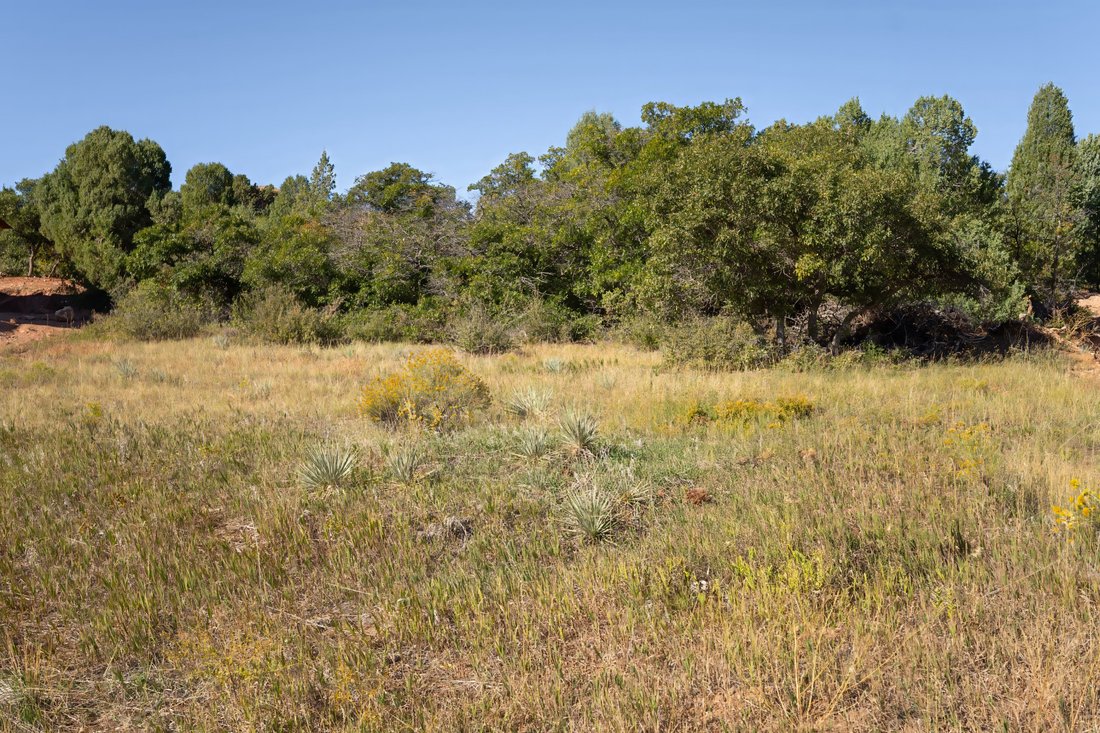 Land in Roxborough Park, Colorado, United States 4 - 14749326