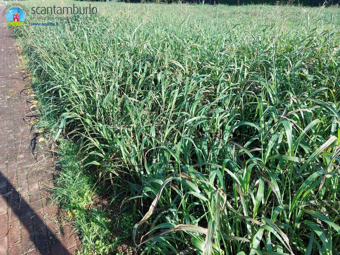 Land in Ponzano, Veneto, Italy 2 - 13151082
