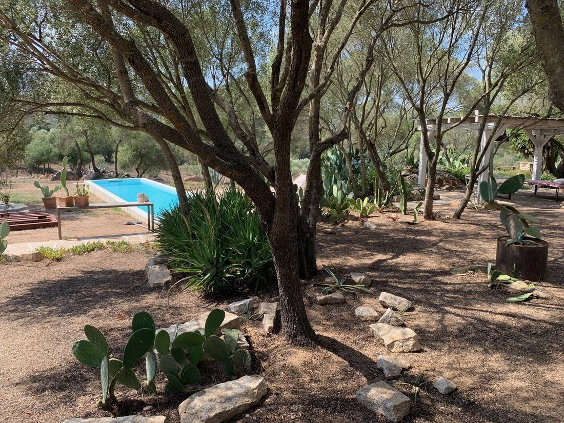 Villa in Peripheral Fractions, Olbia, Sardinia 3 - 14755660