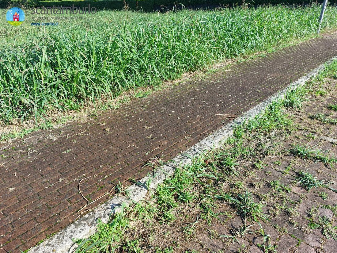 Land in Ponzano, Veneto, Italy 3 - 13151082