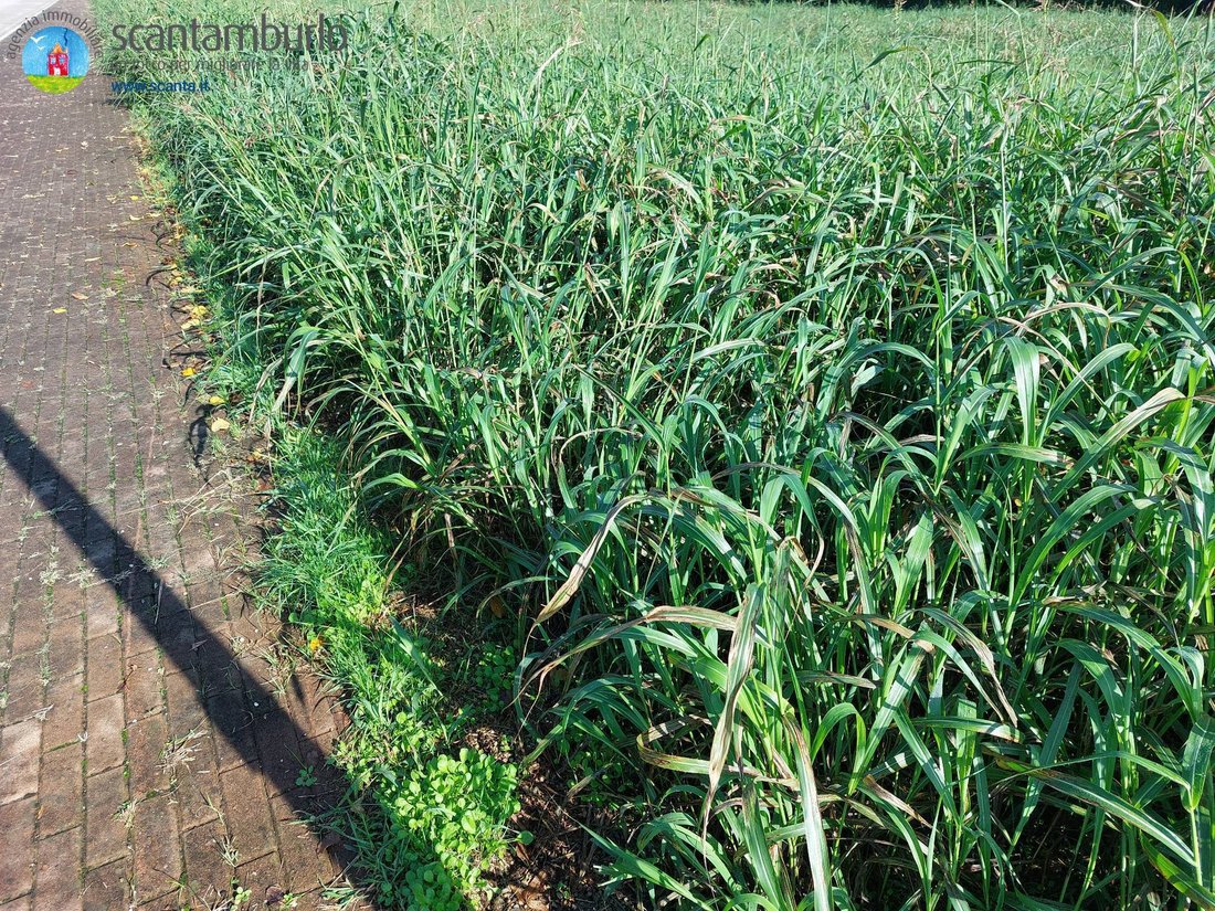 Land in Ponzano, Veneto, Italy 4 - 13151082