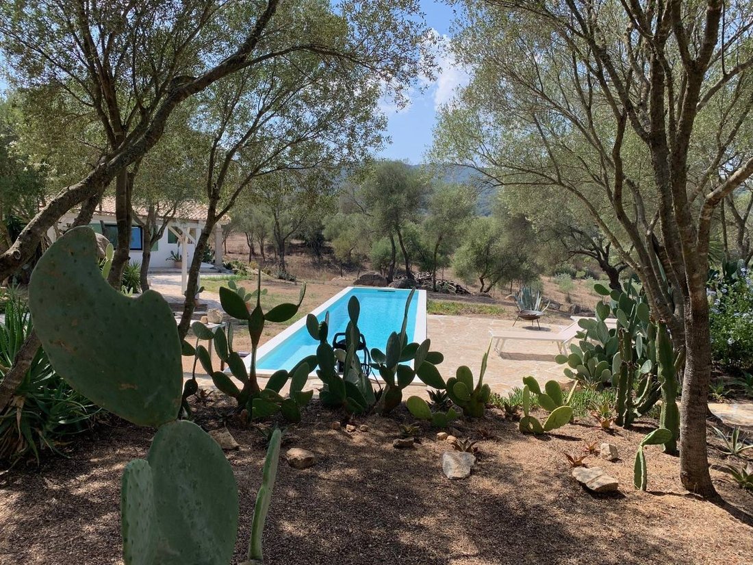 Villa in Peripheral Fractions, Olbia, Sardinia 4 - 14755660