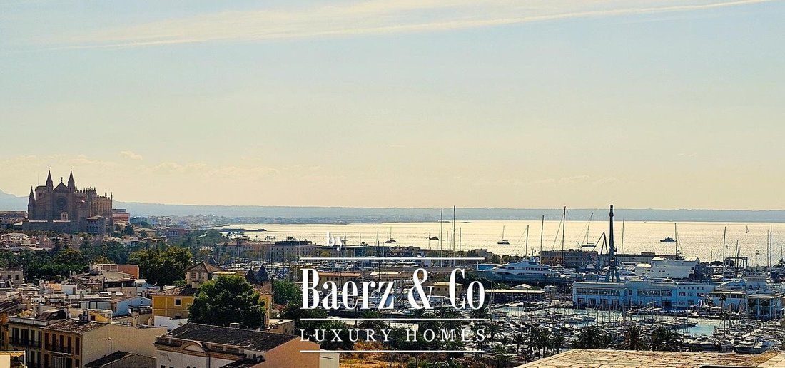Apartment in Palma, Balearic Islands, Spain 1 - 14754598