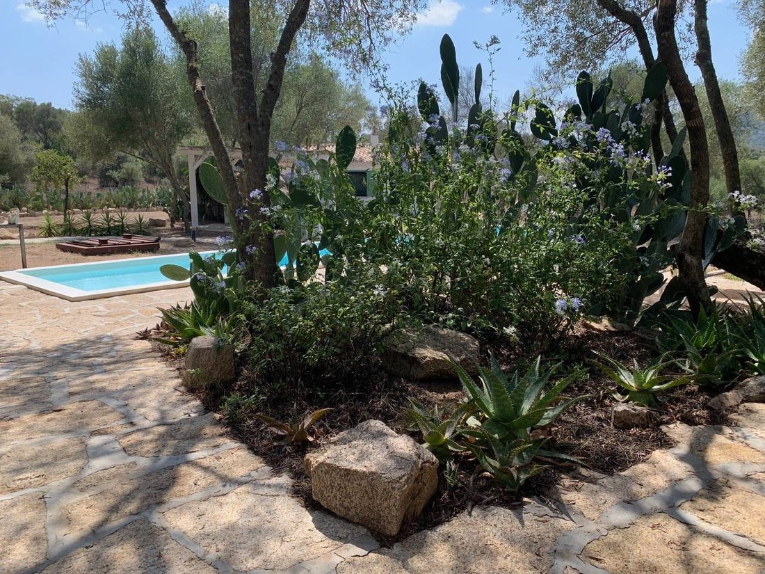 Villa in Peripheral Fractions, Olbia, Sardinia 2 - 14755660