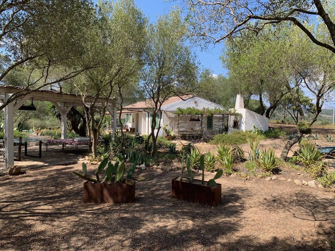 Villa in Peripheral Fractions, Olbia, Sardinia 5 - 14755660