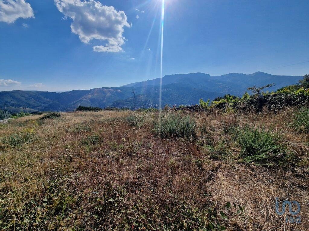 Terreno a Vila Real, Distretto di Vila Real, Portogallo 4 - 14756629