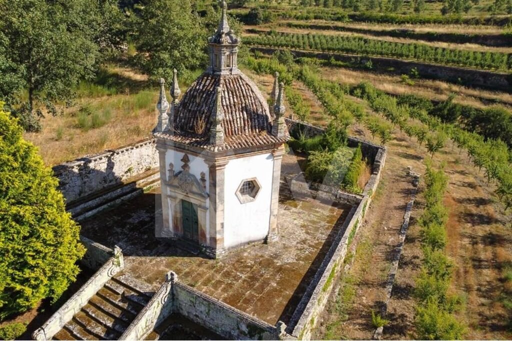 Farm Ranch in Salzedas, Viseu District, Portugal 5 - 14754703