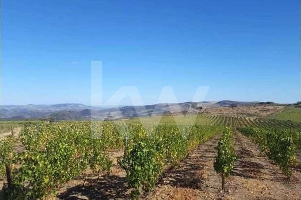 Land in Seixas, Guarda District, Portugal 1 - 14754772