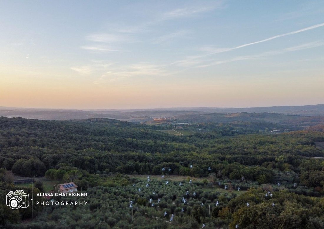 Country House in Monteriggioni, Tuscany, Italy 5 - 14071523