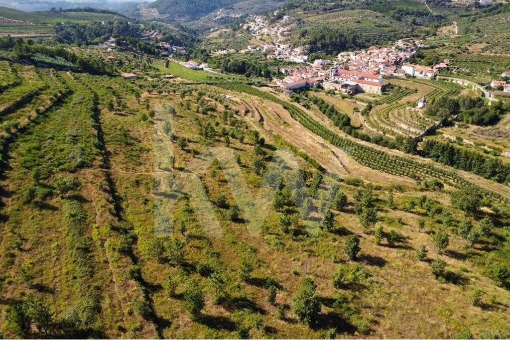 Farm Ranch in Salzedas, Viseu District, Portugal 3 - 14754703