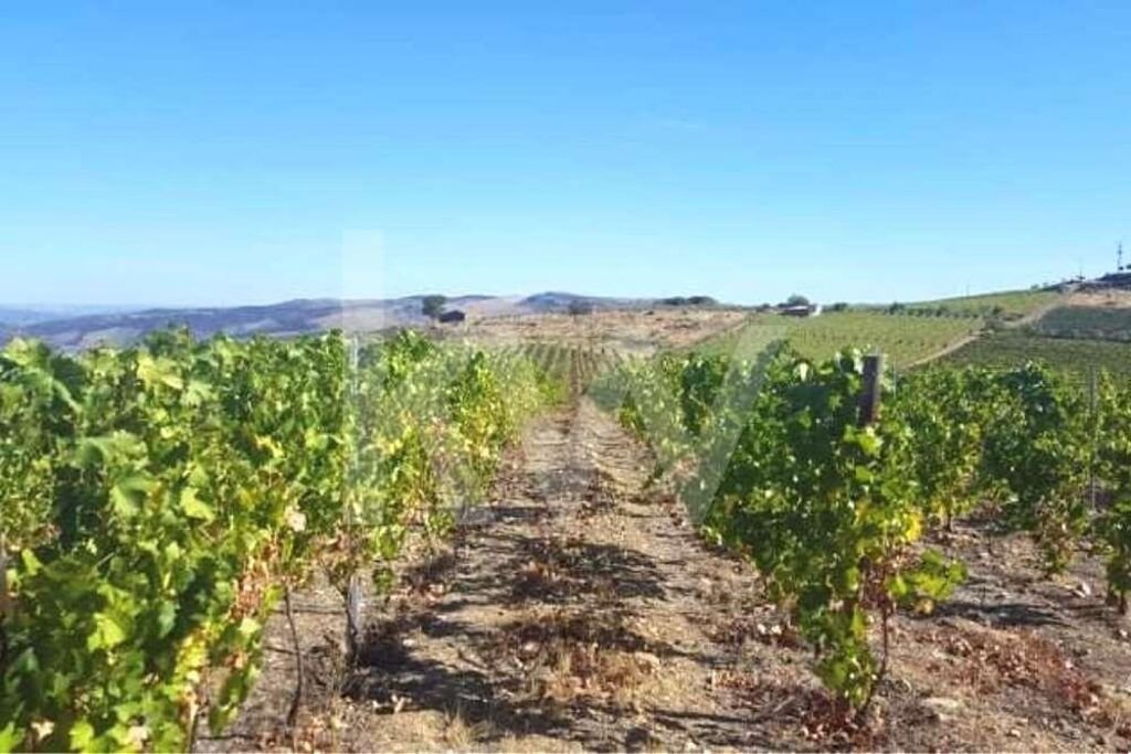 Land in Seixas, Guarda District, Portugal 3 - 14754772