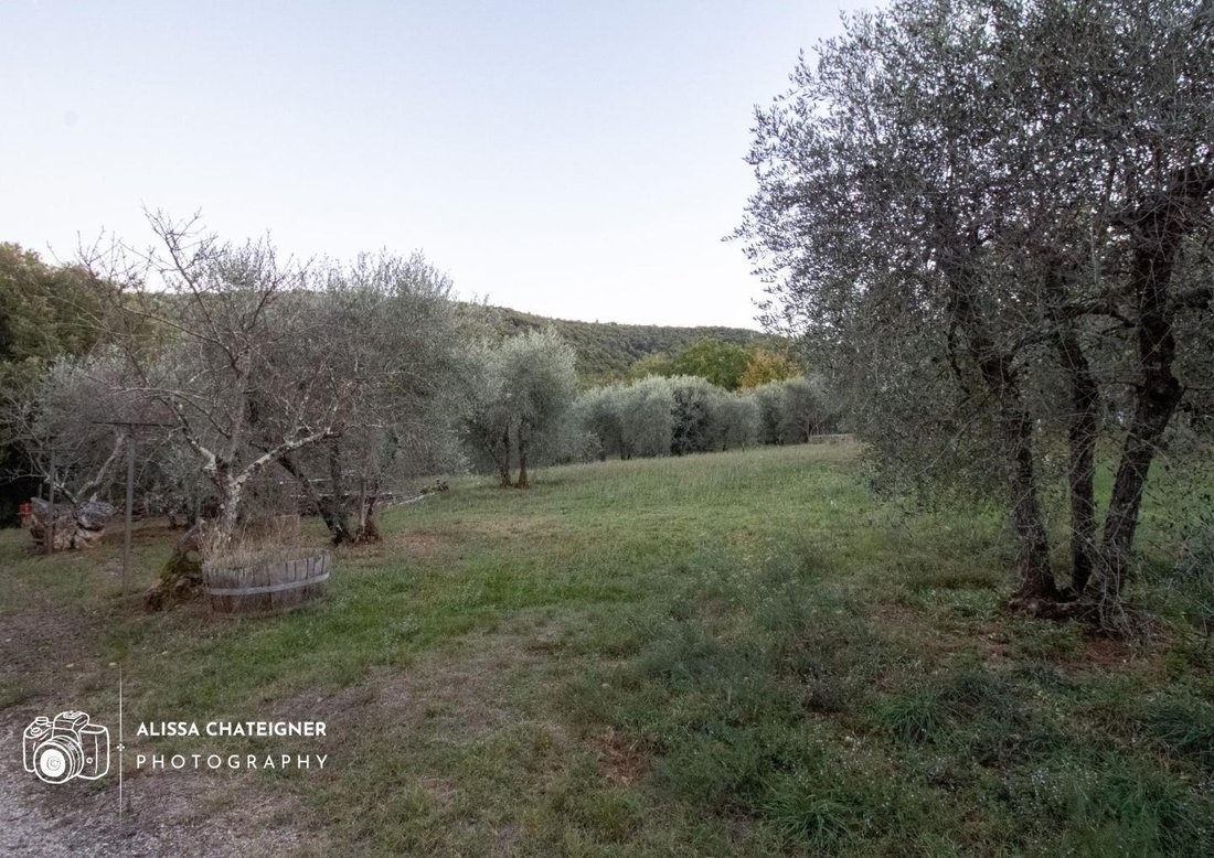 Country House in Monteriggioni, Tuscany, Italy 3 - 14071523